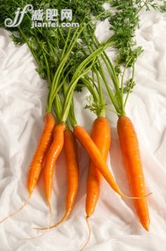 食品,農業,胡蘿蔔,串,攝影_562332373_A bunch of carrots with white background_創意圖片_Getty Images China