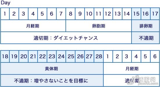 魔術減肥2周 突然年輕10歲