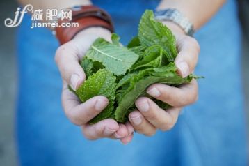 薄荷,草本,攝影,2015年,_570090865_Holding freshly picked mint leaves_創意圖片_Getty Images China