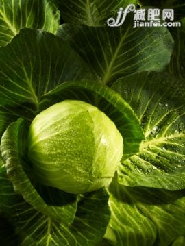 飲食,戶外,蔬菜,葉子,水滴_117065580_Cabbage_創意圖片_Getty Images China