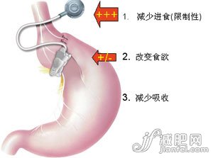 夏日最熱門減肥十法PK效果