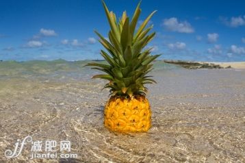 食品,自然,戶外,田園風光,站_558963339_Pineapple standing in shallow sea_創意圖片_Getty Images China