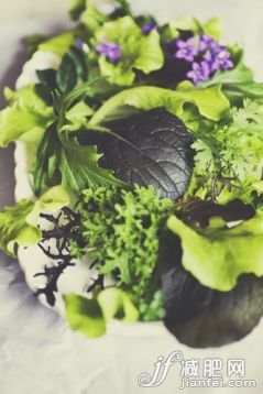 食品,綠色,萵苣,午餐,生食_gic13492039_Mixed Salad Greens_創意圖片_Getty Images China