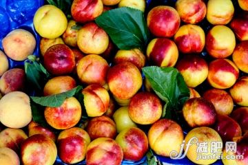 水果,桃,攝影,伊勞達,_520212055_Nectarines_創意圖片_Getty Images China